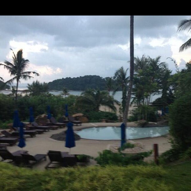 MSH6060's profile picture. 