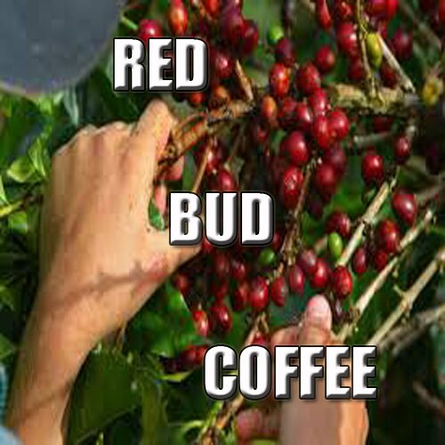 Made from organically grown Costa Rican coffee beans...the finest coffee on earth.