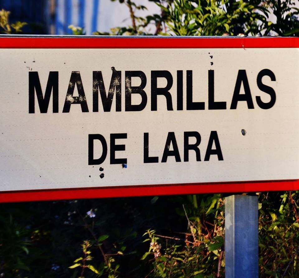 Mambrillas de Lara es una localidad y un municipio situados en la provincia de Burgos, perteneciente a la comarca de Tierra de Lara.