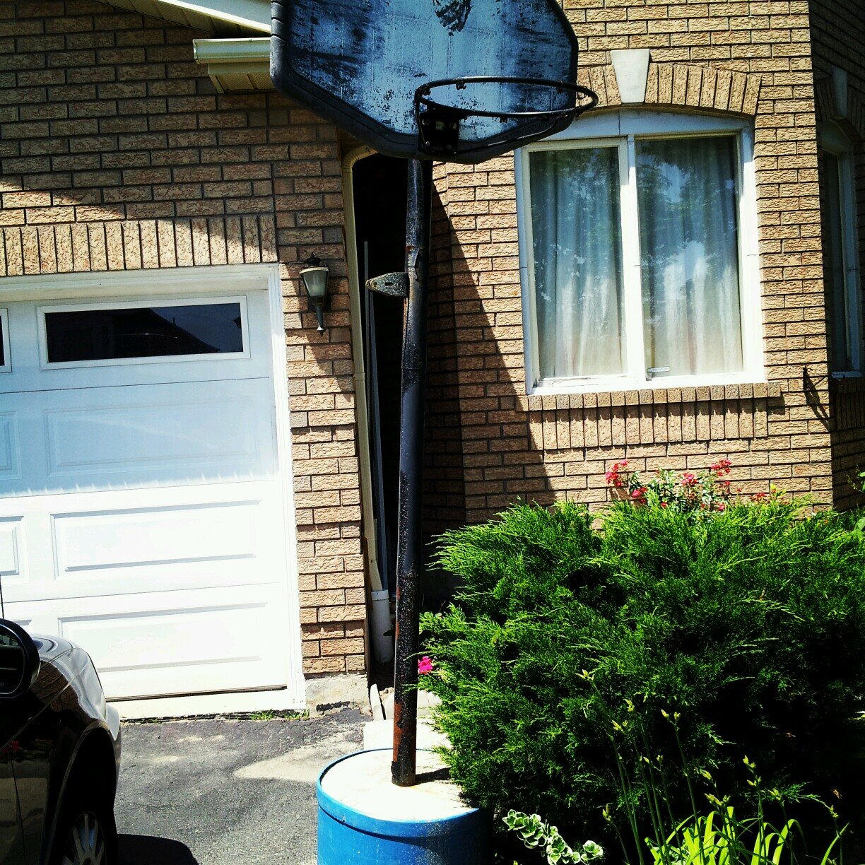 ballingproblems's profile picture. Every basketball players problems tweeted on the daily