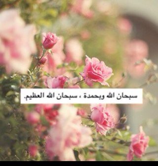 لاجلهم لا اريد ان يصيبهم ضرر في دنيا ولا في الاخره @lee_928 @RawanAlOtaibbi @a7lam_a7rbi @NeuoAlghamdi @Re7ab_al7rbi
