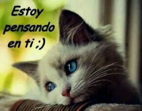 APlicacion_bb_3's profile picture. :)