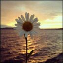 مشتاقه للجنه (@11Abeer_) Twitter