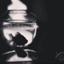 maher (@02Seela) Twitter