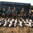 alex stedman - @astedman95 - Twitter