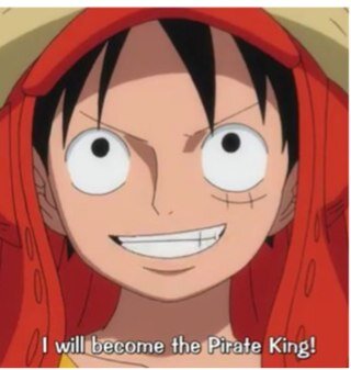 I don't really get it, but I get it / Meat Eater / Captain of the Strawhat Crew / Current Bounty 400,000,000 berries / MAN WHO WILL BECOME THE PIRATE KING