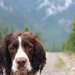 canoedreamin's profile picture. paddle a canoe love life!