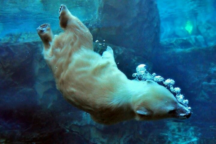 martaosoo's profile picture. 