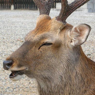 松尾トム