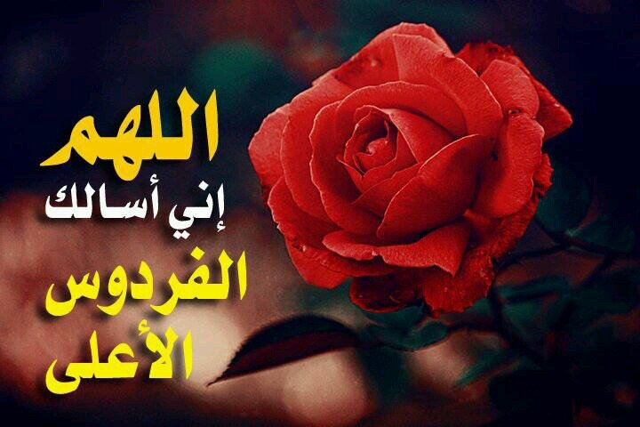 ‏‏و تستمر الحياه مهما كانت الصعوبات

اللهم اجعلني مباركاً اينما كنت

الخاص ممنوع