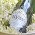 Kew Vineyards (@kewvineyards) Twitter profile photo Kew Vineyards (@kewvineyards) Twitter profile photo