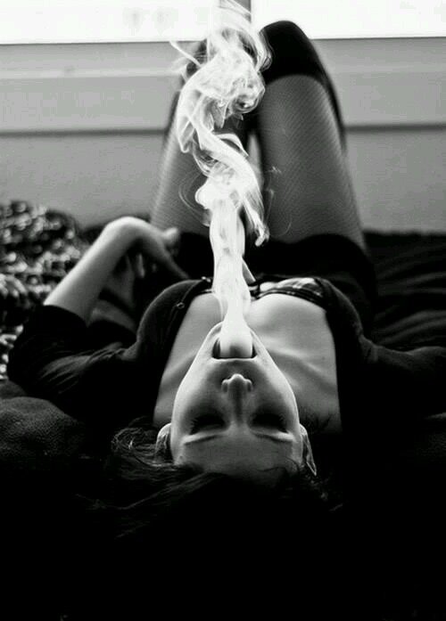 if you like naked girls, weed, and sex then why the hell arent you following me? #stayhigh