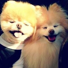 SushiRannie's profile picture. Sushi Lover - Gamer Girl