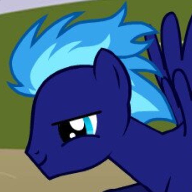 I'm I new Pony here on twitter.