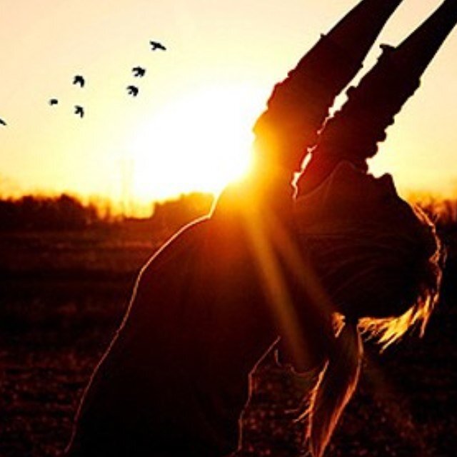 blondesweets's profile picture. 