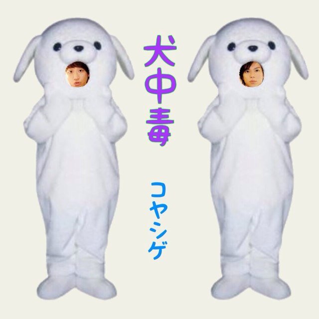 のんちゃん、うえしょー君、いっちゃん推しのMADE箱推しおばさん。でも、1番はNEWSシゲちゃん。 たまに呟く程度です。 ジャニはたのきんから。若い子は知らないだろうなぁ