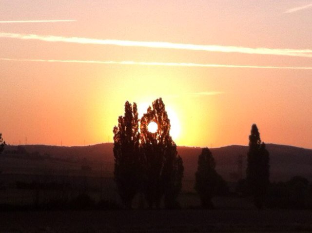 Dias d niebla...saldrá el sol! Las Cosas pasan por CauSalidad.Mis maximas:Resiste,no redres, empeÑate, se Constante!OBJETIVO: #SerUtil. #RendirCuentas #Remanso