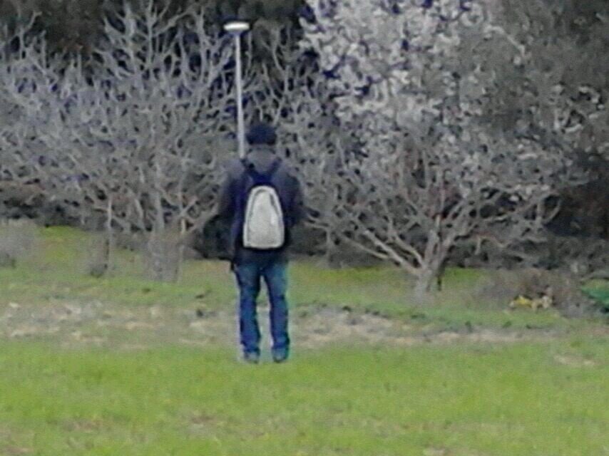 MaurizioLoche's profile picture. 