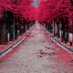 Flo (@florin000) Twitter profile photo