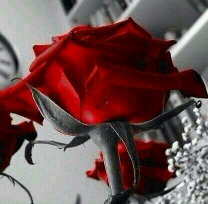 gaaa3311's profile picture. 