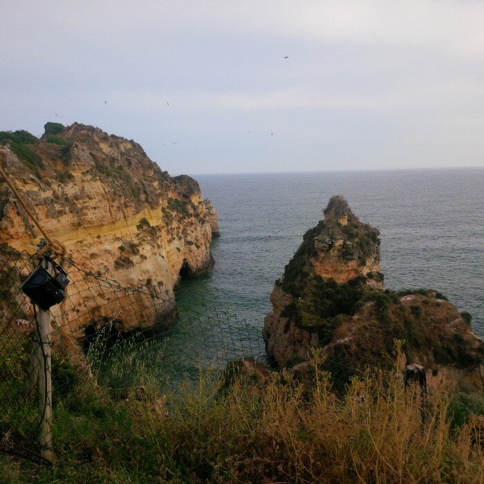 carolinesussex's profile picture. 