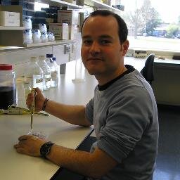 Guillaume Mabilleau is a bone scientist interested in the regulation of bone remodelling by gut hormones and antidiabetic drugs at the University of Angers