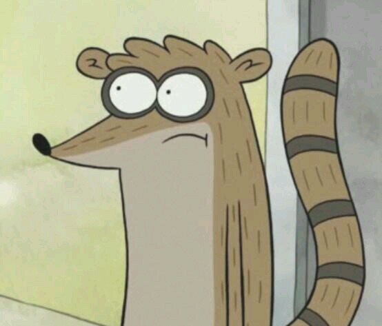 Hola yo me llamo Rigby mi mejor amigo es @UnShowMas_CN trabajamos  juntos en el parque tengo 23 años de edad soy un mapache estamos¡FLOJEANDO