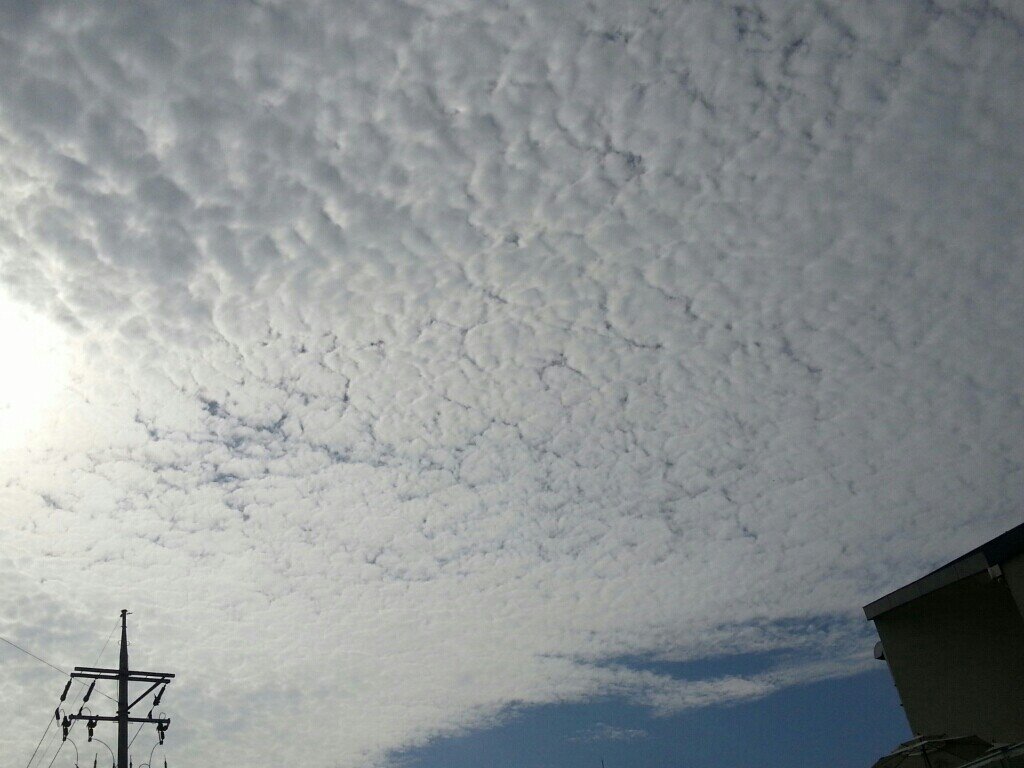 노빠 문빠 새누리당 사절