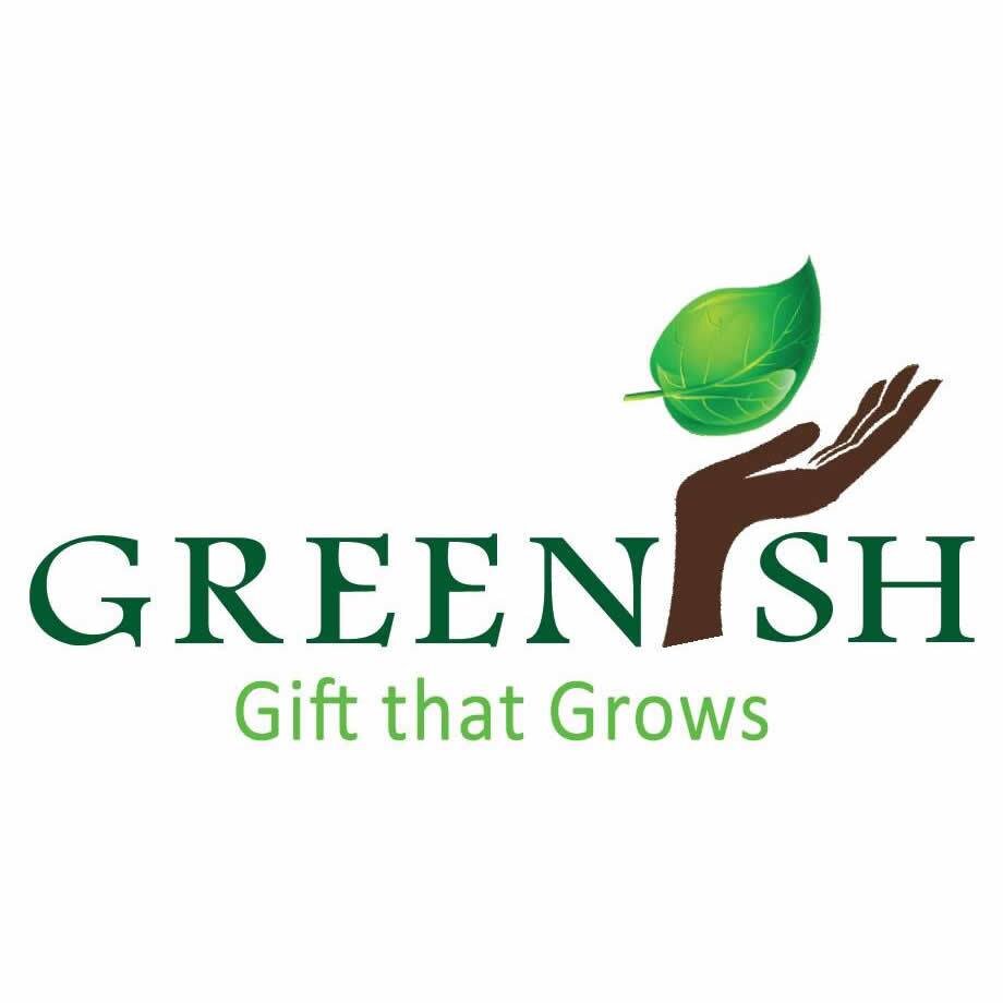 What better way to honour someone or celebrate an occasion than by gifting a plant? Like us on Facebook - https://t.co/yhaU6SOUPR