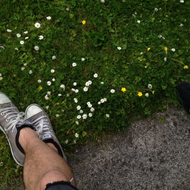 cleanfilth's profile picture. my diary