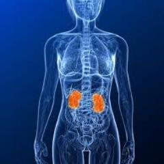 http://t.co/DRxbBDjAd6 is a place to share information about Kidney Treatment.