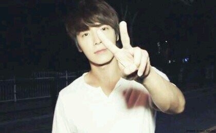 Super Junior and Ever Lasting Friends