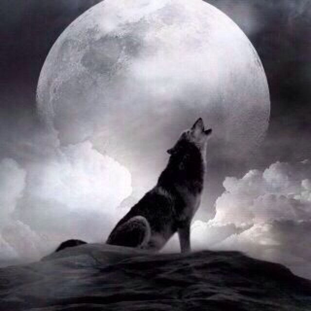 77Fawaz1's profile picture. أحدن على كثر الصبر مآلقى شي
واحدن وهو مرتآح .. زانت اموره
أحدن يموت وموتته ،، توجع الحي
واحدن غيآبه .. مثل حزة حضوره