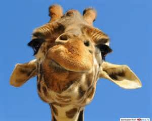 mephi5's profile picture. 