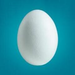 I just give you a free follow now follow me on @nouisrockmenow i followback just ask