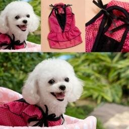 For the cutes doggie outfits, visit http://t.co/9TUn3Nyh5o Also check out our lingerie website for elegantly design lingerie at http://t.co/WT8bDgSNxK