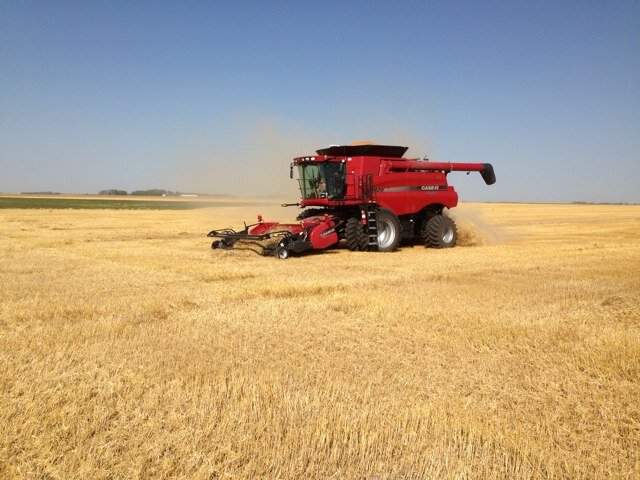 Farmer in southern manitoba, father of four