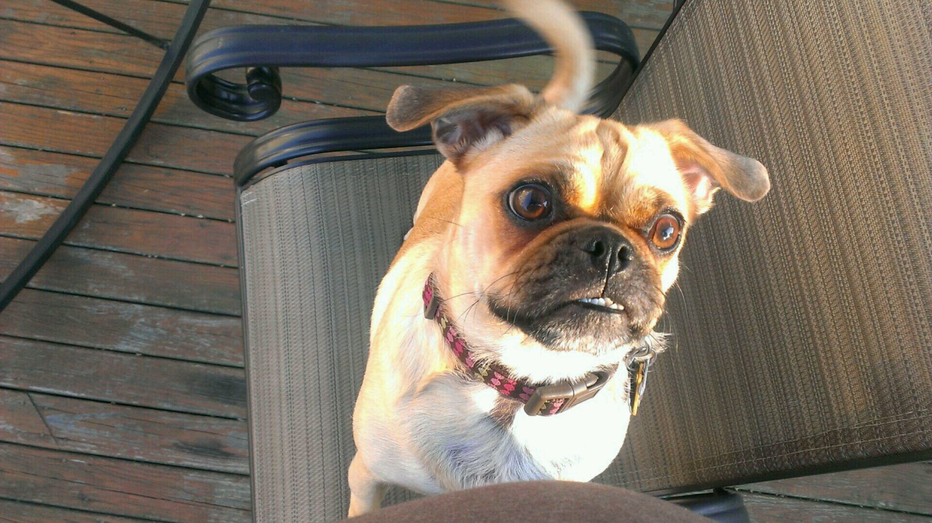 kyleallen0808's profile picture. 