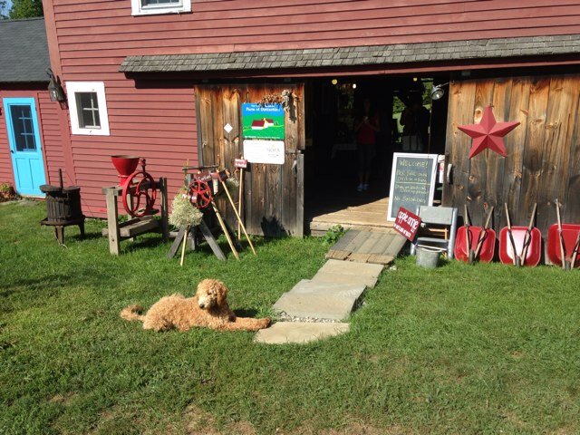 Low-spray apples, cider donuts, unpasteurized cider, baked goods, jams and jellies. And more. YUM!