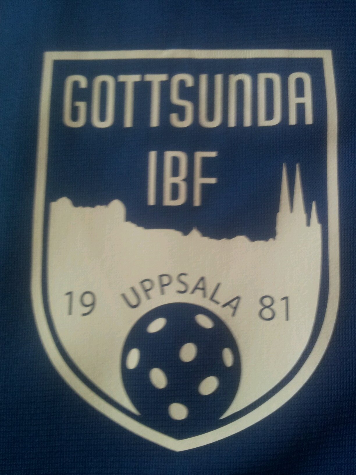 goifalag's profile picture. Gottsundas officiella twitter, majoriteten av det som skrivs här bör dock tas med en nypa salt.