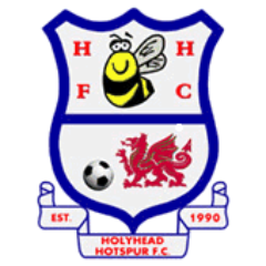 Est: 1990 | The official twitter account of Ardal NW side Holyhead Hotspur. #HHFC🐝 https://t.co/HVtEfjDs8p for teamwear
