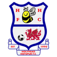 Holyhead Hotspur FC🏴󠁧󠁢󠁷󠁬󠁳󠁿(@HolyheadHotspur) 's Twitter Profile Photo