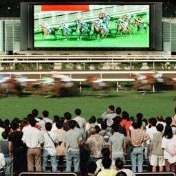 HKRacing2013 Profile Picture