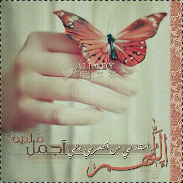 اروع حالات واتس اب يدك بالراس نور الزين Youtube Cool