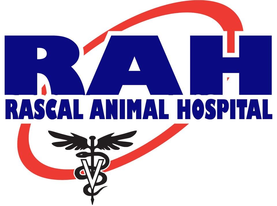 RascalDublin's profile picture. AAHA Accredited Veterinary Hospital located in Dublin, Ohio providing affordable care to pet owners, caretakers and rescues.