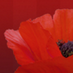 FWW Studies Society (Account Inactive) (@fwwsoc) Twitter profile photo FWW Studies Society (Account Inactive) (@fwwsoc) Twitter profile photo