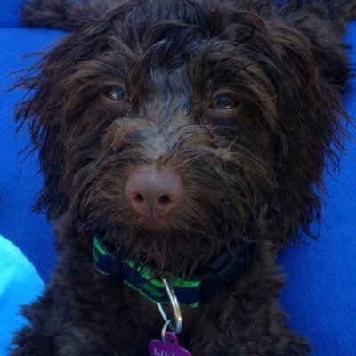 Tweets with replies by Andrew Hays (@aHays_) | Twitter