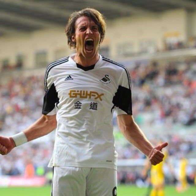 Swansea City FC fan...  #SCFC #JACKARMY