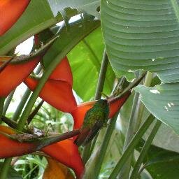 Profesora de castellano y literatura, especialista en Orientación, amante del arte, la naturaleza y la libertad.