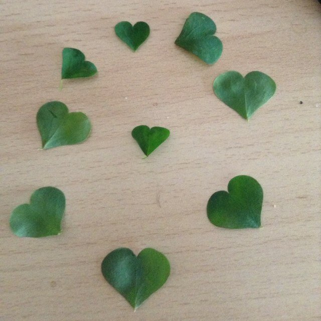 i-love-TENNIS